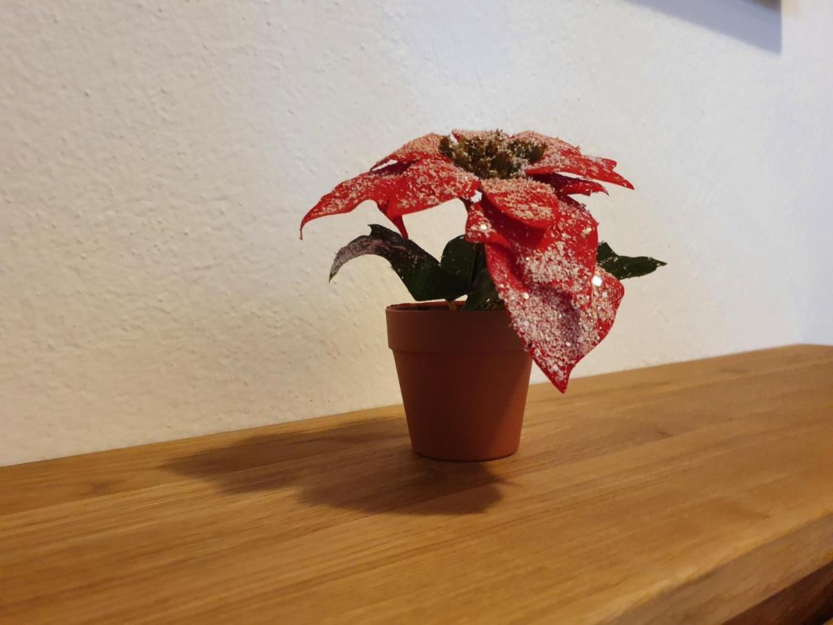 Ferienwohnung Kroell Zell am Ziller Luaran gambar